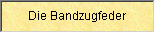 Anleitung zum Schreiben mit der Bandzugfeder